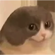 Melvineemote Melvineemote