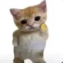yah