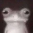 Froggy_Stare