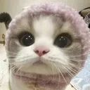 hat
