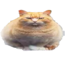 emoji_34