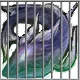 WhaleJail