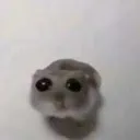 pleasesircanihavesomemore
