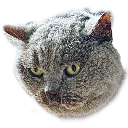 emoji_38