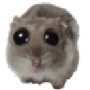 sadhampter