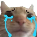 000 Mew Cry Discord Emoji