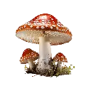 emoji_2 emoji_2