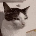 hmmm Discord Emoji