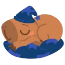sleepycapybara