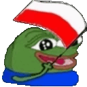 WN_pepePoland Discord Emoji