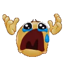 1cryingemoji Discord Emoji