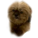 emoji_42