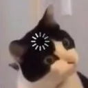 huhwhat huhwhat