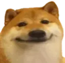 DogO