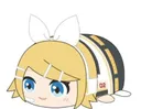 Rin