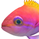 real_fish