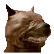 Dog_Nodders Dog_Nodders
