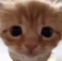 huh