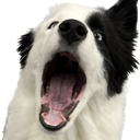 scream Discord sticker from Jewish Community