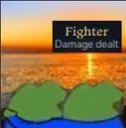 Fighter