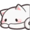 Shy Kitty ShyKitty Discord Emoji