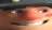closeminer closeminer