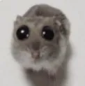 please