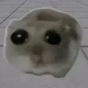 Sadhampter