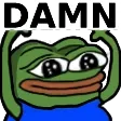pepesigndamn