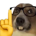 dognerd dognerd