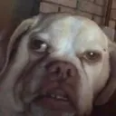 bro