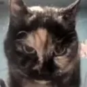 msWarnAngry