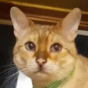 eric
