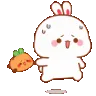 bunnyrun