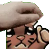 deercat_pet deercat_pet