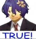 ratiotrue