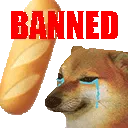 banned banned