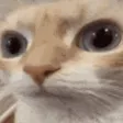 uuh uuh