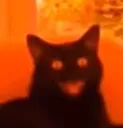 demoniclaughingcat