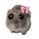 sadHamsterGirl