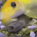 John