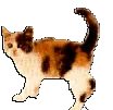 waggykiggy