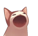 bop_catgif