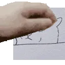 ricepet