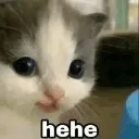 hehe