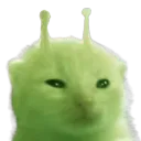 glorp glorp