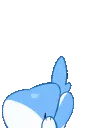 blossom_sharkjump