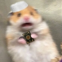 A hamster with a wide-eyed, panicked expression wearing a small white hat and holding a tiny black object.