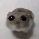 why