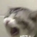 nooooo